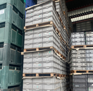 En SobrantesDeStock.com, nos especializamos en dar una segunda vida a envases retornables y otros activos sobrantes que, por cierres de empresas o cambios de modelo, han quedado en desuso. Nuestro objetivo es claro: evitar la destrucción de estos activos y facilitar que otros sectores los aprovechen a precios muy competitivos.

