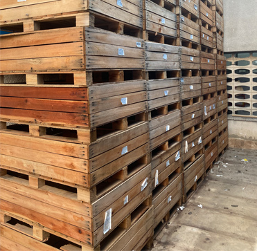 Lote de palops de madera : un propósito inesperado y solidario