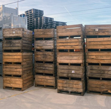 Lotes solidarios: 100 palops de madera desde Castellón para la DANA