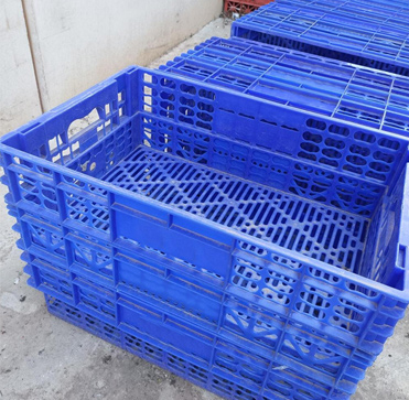  Lote de 2000 cajas de pollos que además pagan una vieja deuda
