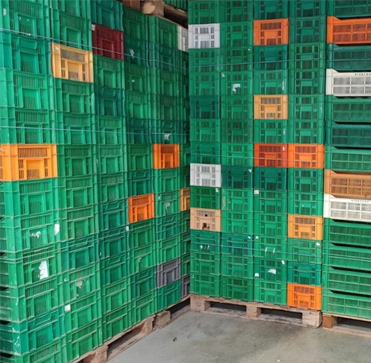 Inicialmente, el vendedor solo logró colocar 3.000 unidades como prueba, pero la demanda ha sido tan alta que ya hemos vendido 3.500. Esto nos confirma que seguiremos sacando más pedidos de este lote en el futuro. El reto de vender grandes lotes de cajas agrícolas. Los lotes de más de 100.000 cajas suelen ser difíciles de vender por varios motivos:

